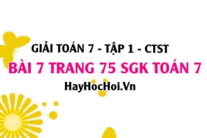 Giải bài 7 trang 75 Toán 7 Tập 1 SGK Chân trời sáng tạo